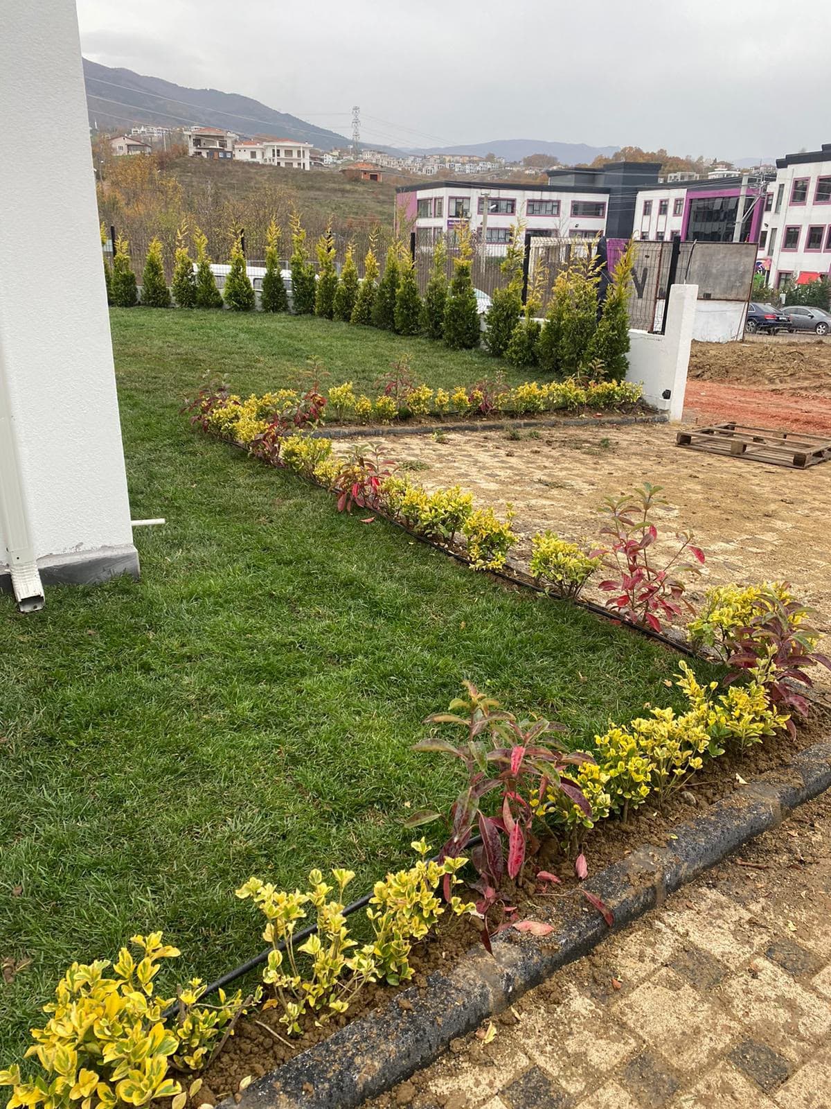 Villa bahçesinde palmiye ve taş kaplı açık hava oturma alanı